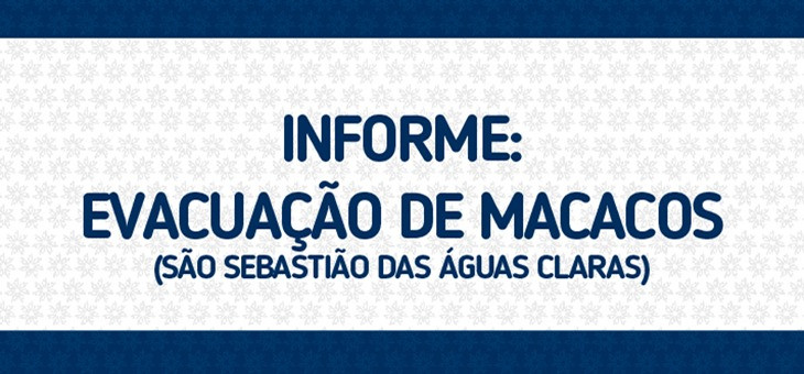 Atualização: 27/2, às 9h: Retorno das aulas em Macacos