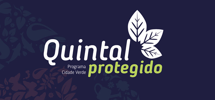 Projeto Quintal Protegido disponibiliza mudas gratuitas de plantas frutíferas para plantio doméstico.