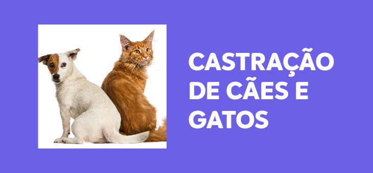 Tutores interessados devem inscrever seus animais, atendimento será no sábado