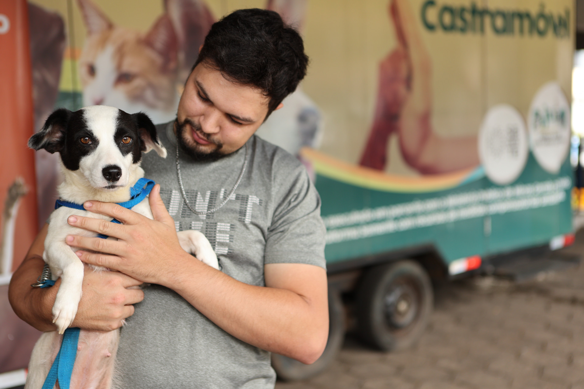 Até agora, mais de 4 mil cães e gatos foram castrados e microchipados gratuitamente