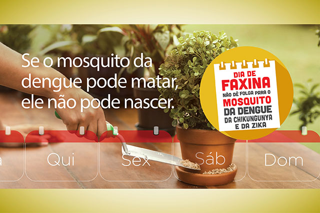 Bota-fora intensifica a remoção de possíveis criadouros e reafirma a importância de manter a cidade livre do mosquito