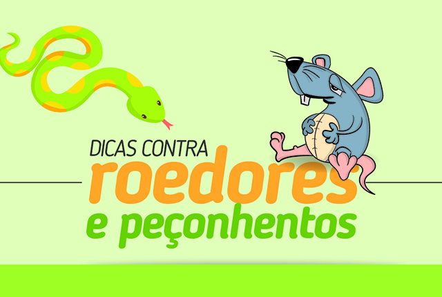 Ações coletivas e individuais são fundamentais para evitarmos a proliferação desses animais