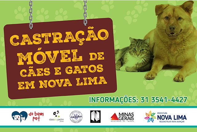 Tutores de animais têm de 7 a 11 de novembro para realizarem uma pré-inscrição para o mutirão