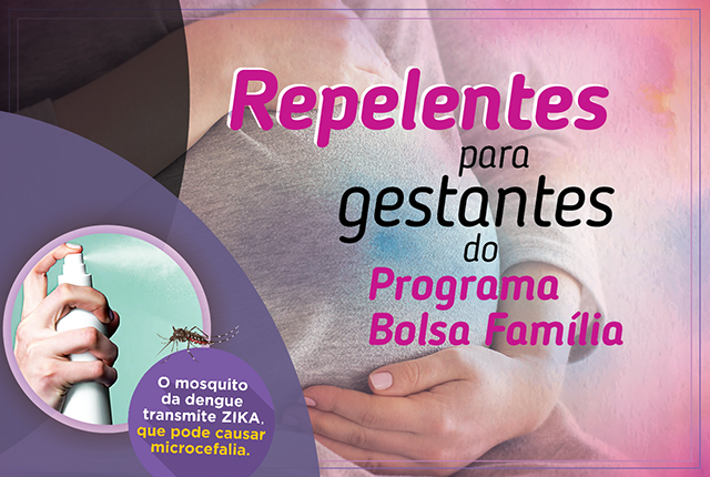 Ação do Ministério da Saúde para reduzir os índices de doenças relacionadas ao Aedes aegypti