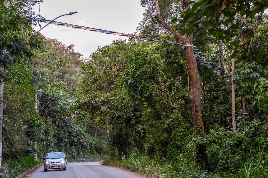 Passagem aérea de fauna contribui para evitar atropelamentos / Foto: Prefeitura Nova Lima/Lucas Mendes