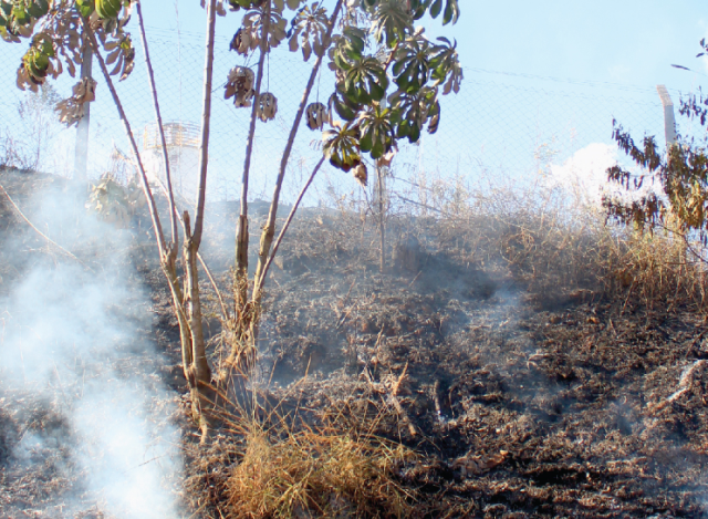 Além de representar perigo à segurança, queimadas causam danos à saúde e provocam desequilíbrio ambiental